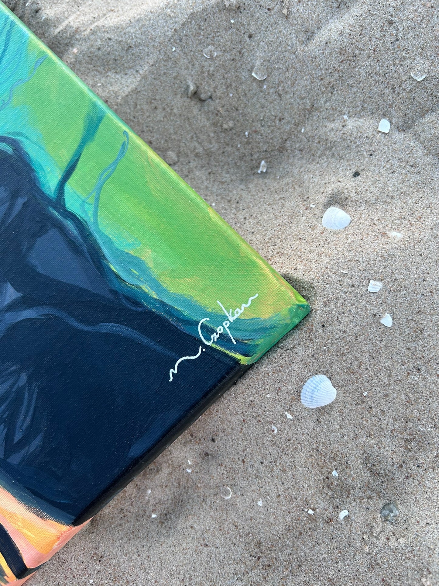 Islandia z lotu ptaka